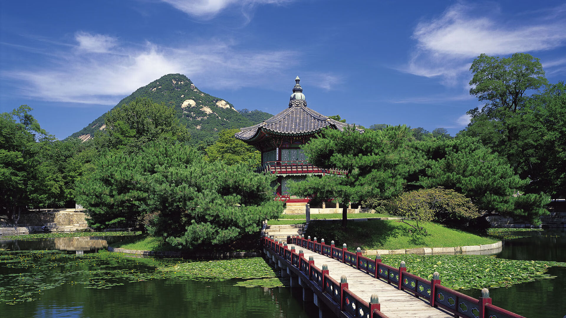 拜仁连续庆祝,锁定联赛冠军希望,拜仁连续夺冠