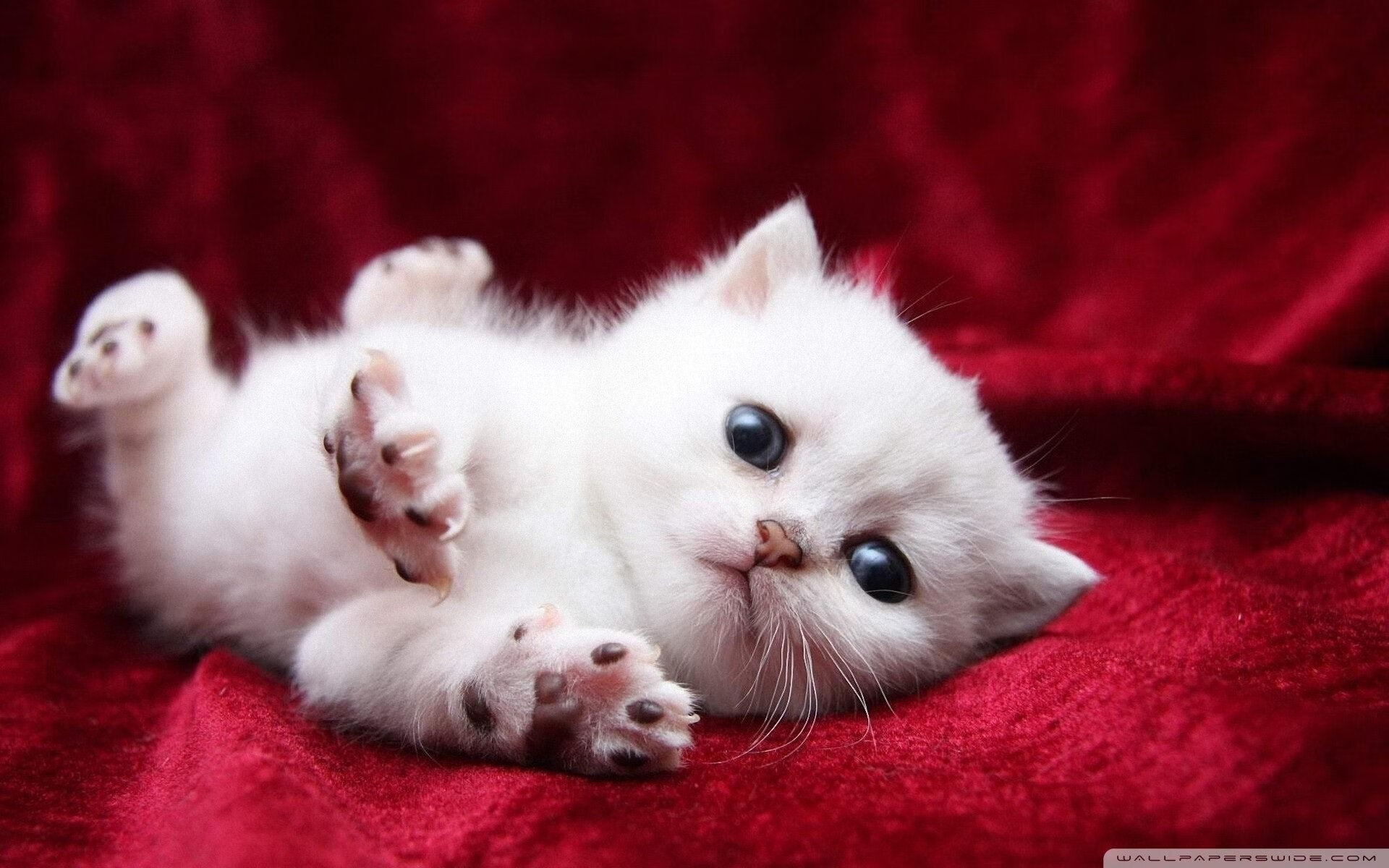 开云棋牌-“西甲比赛：攻守转换令人目不暇接”，西甲单赛季助攻王