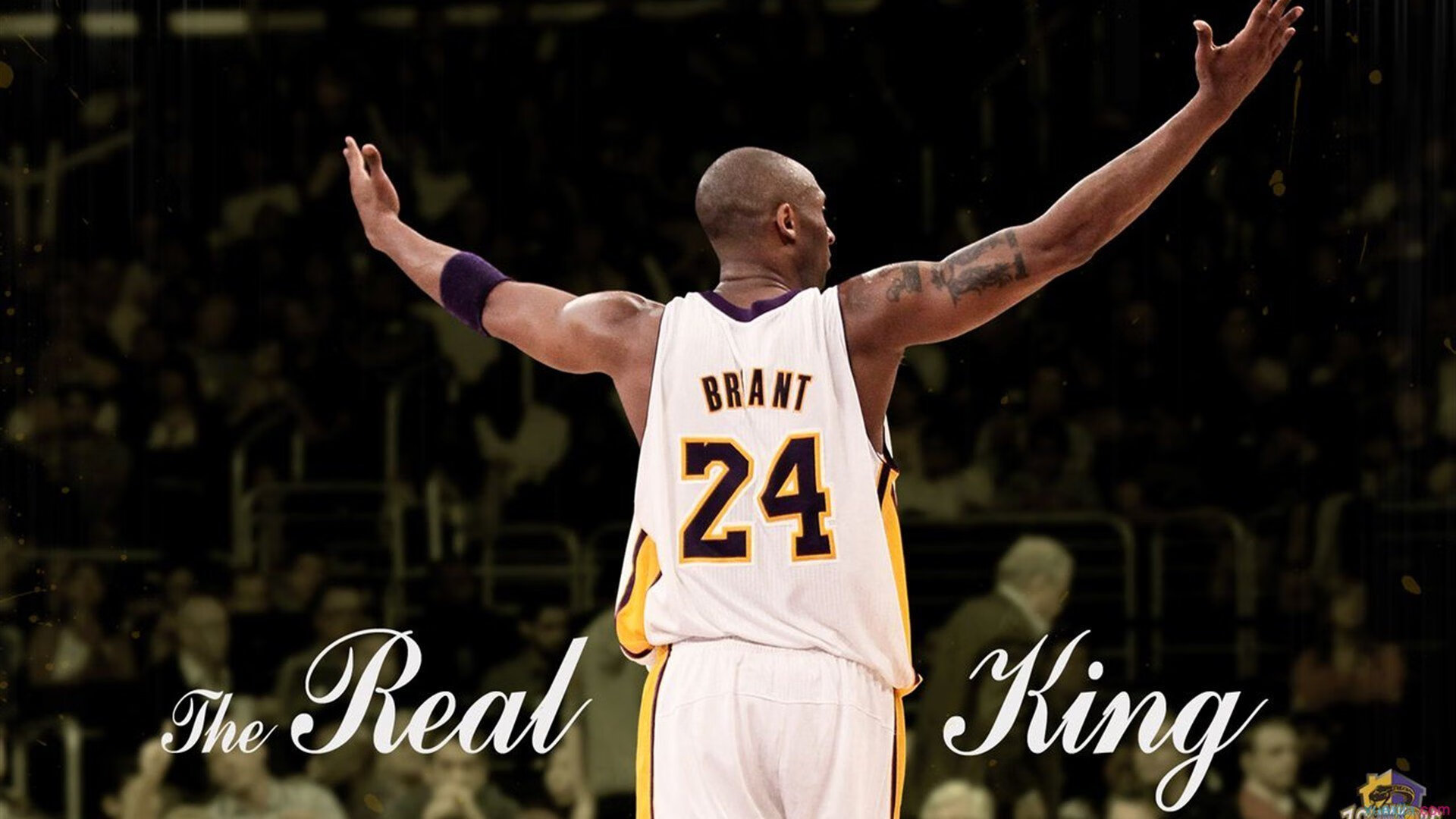 开云网址-“雪域霸主：白色赛场的冠军归来”，雪域白图片